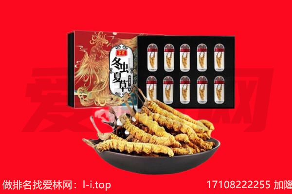 银川市灵武回收虫草.jpg